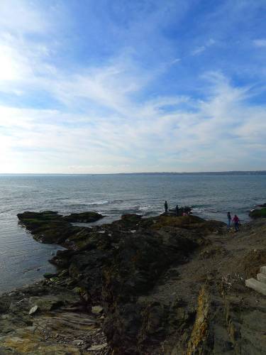 USA_2011-11-27 13-46-31